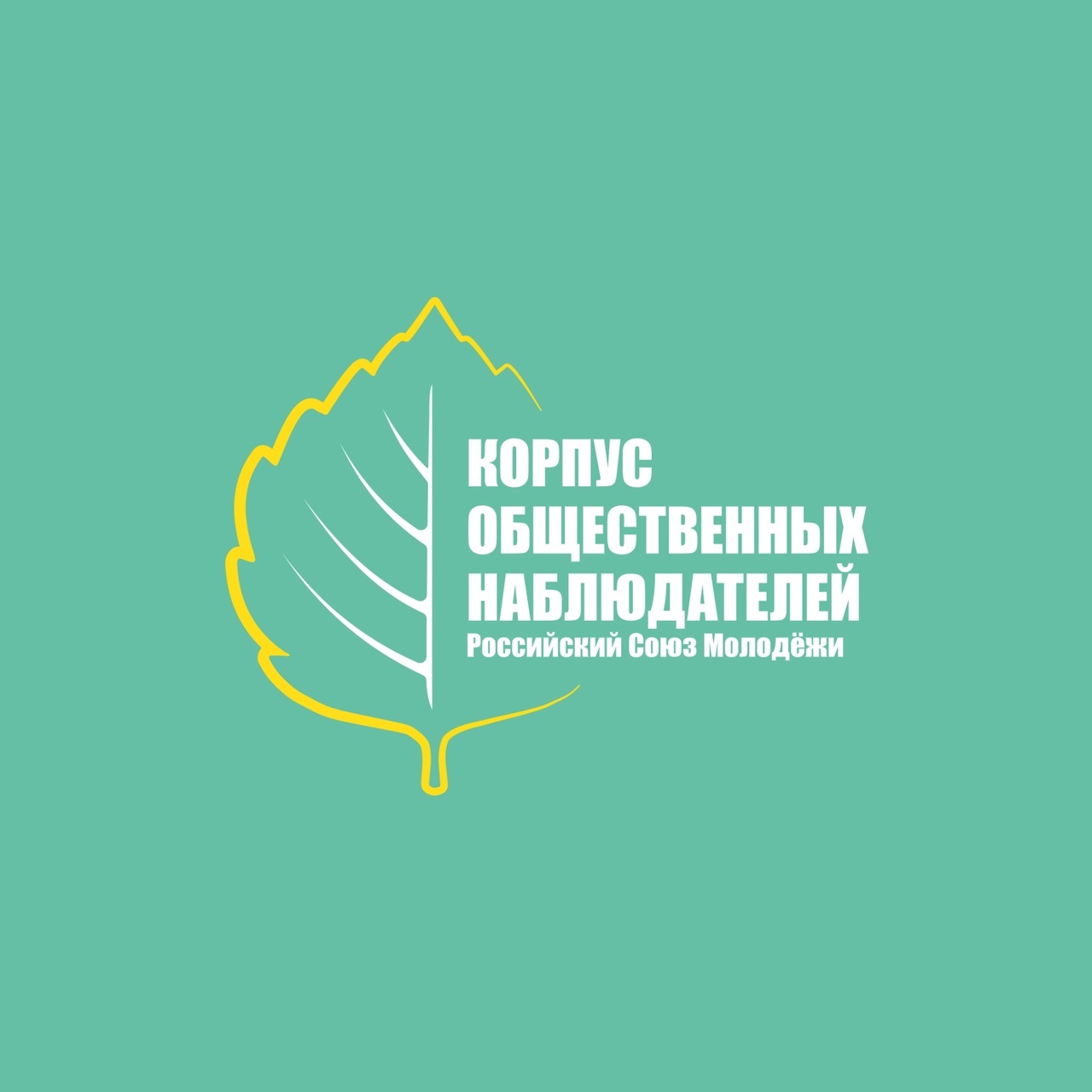 Корпус общественных наблюдателей в Курской области 